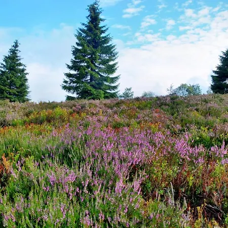 Ferienhaus Winterberg *