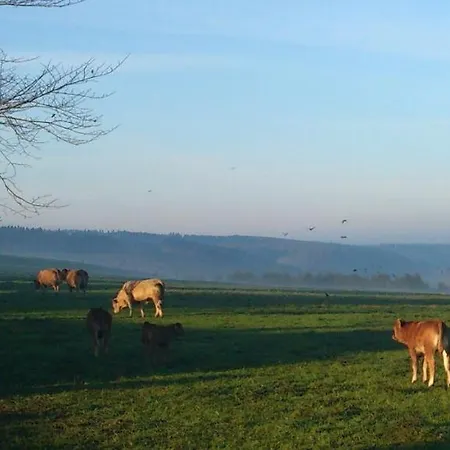 Ferienhaus Winterberg * Winterberg