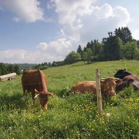 Ferienhaus Winterberg بيت للعطل وينتربرغ