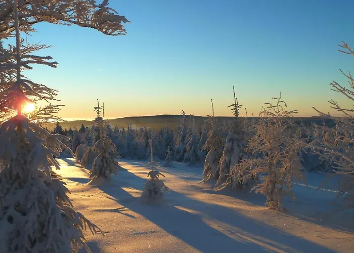 בית נופש Ferienhaus Winterberg