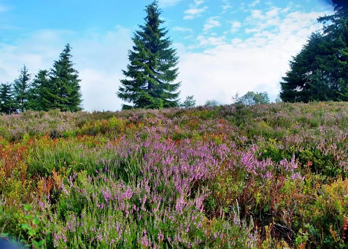 Ferienhaus Winterberg *