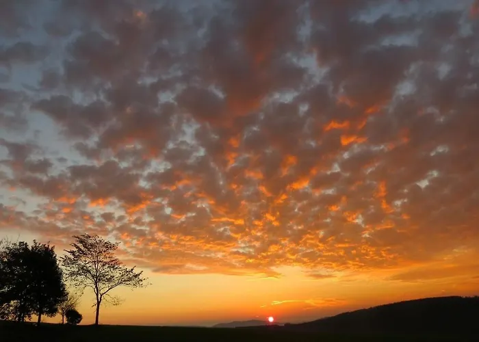 Ferienhaus Winterberg ווינטרברג