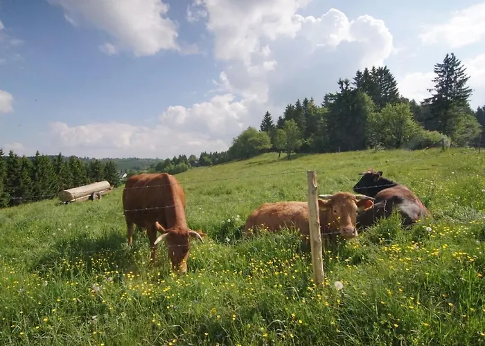 Ferienhaus Winterberg Casa de Férias Winterberg